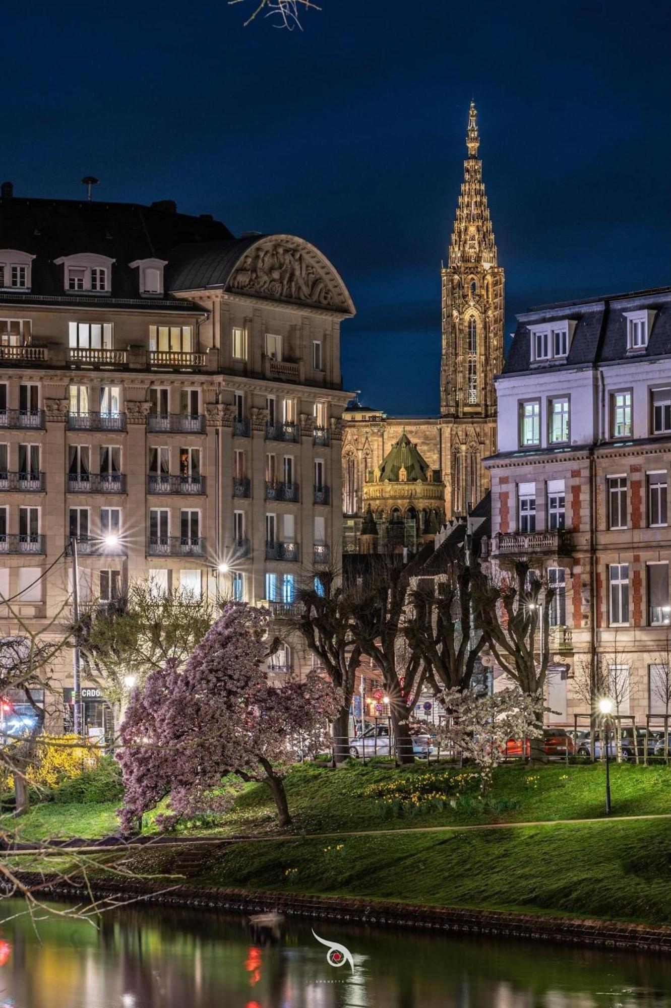 Appart & Studio Hyper Centre De Strasbourg - Proche Cathedrale & Petite France Dış mekan fotoğraf