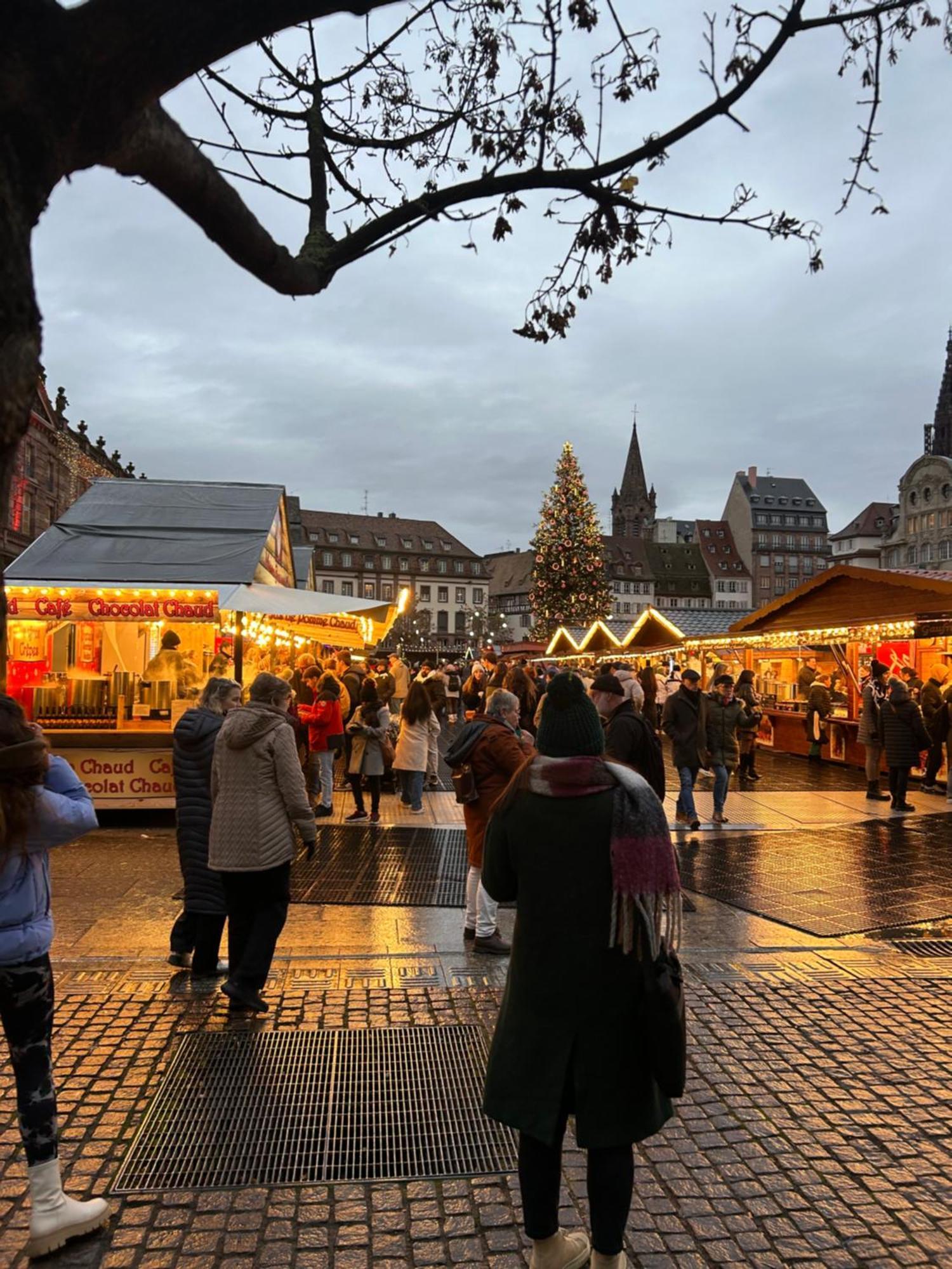 Appart & Studio Hyper Centre De Strasbourg - Proche Cathedrale & Petite France Dış mekan fotoğraf