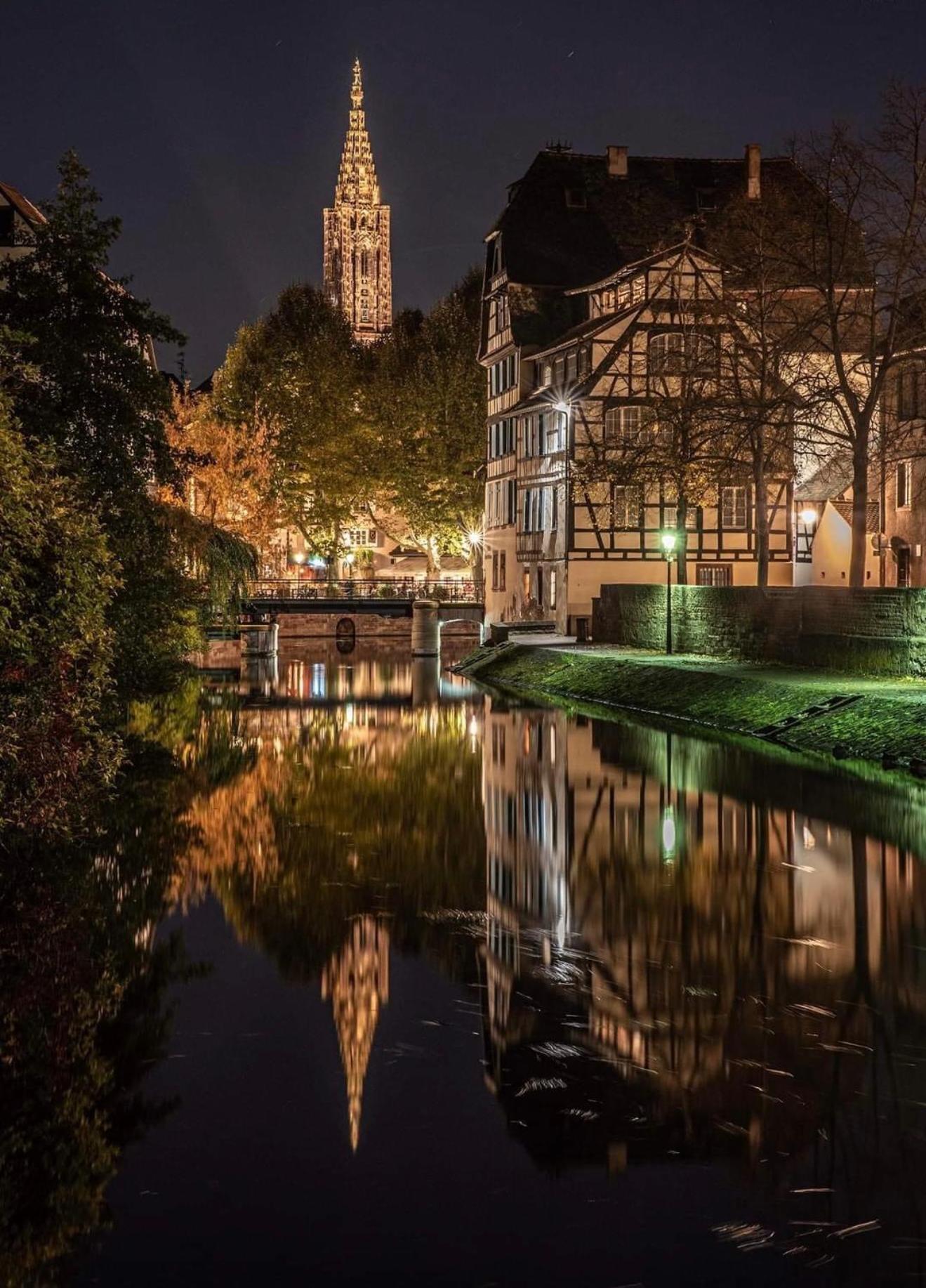 Appart & Studio Hyper Centre De Strasbourg - Proche Cathedrale & Petite France Dış mekan fotoğraf