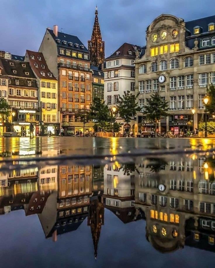 Appart & Studio Hyper Centre De Strasbourg - Proche Cathedrale & Petite France Dış mekan fotoğraf