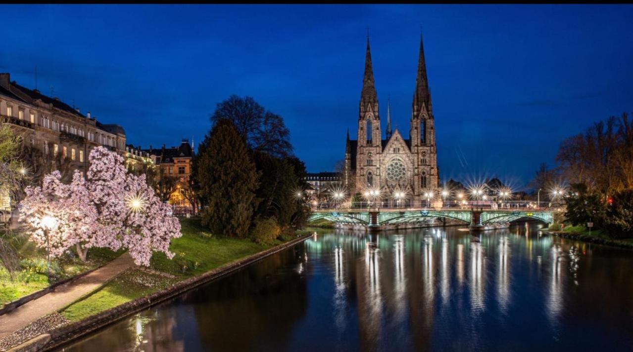 Appart & Studio Hyper Centre De Strasbourg - Proche Cathedrale & Petite France Dış mekan fotoğraf