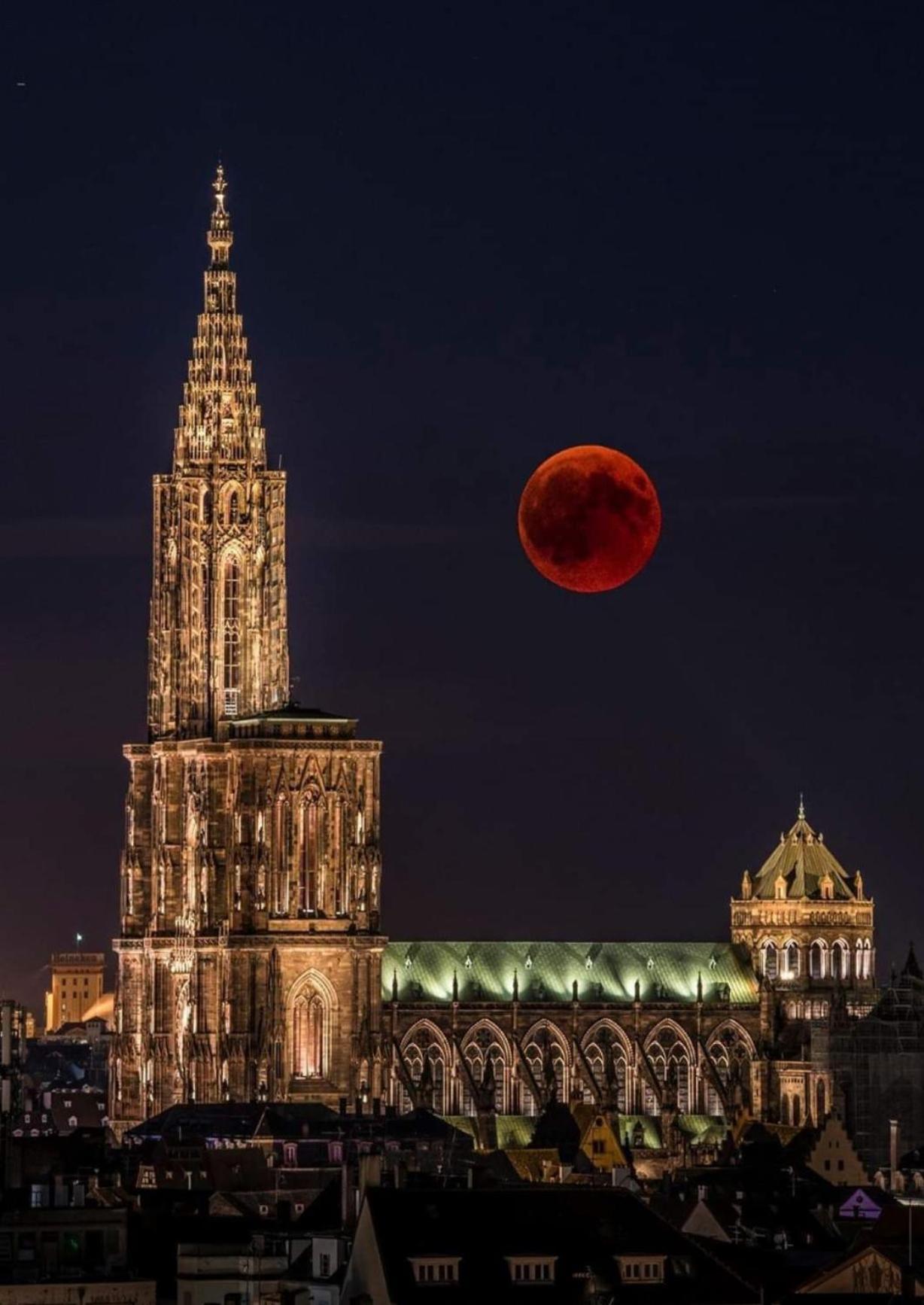Appart & Studio Hyper Centre De Strasbourg - Proche Cathedrale & Petite France Dış mekan fotoğraf